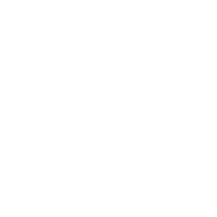 msn logo